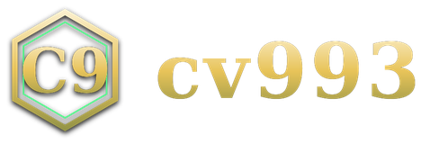 cv993 logo